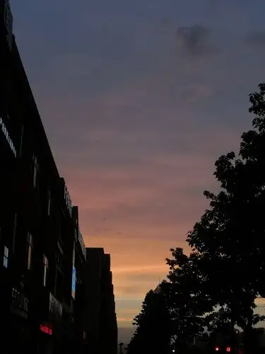 滴滴,分享日常照片 - 新影像大赛视频单元生活随摄 花粉俱乐部