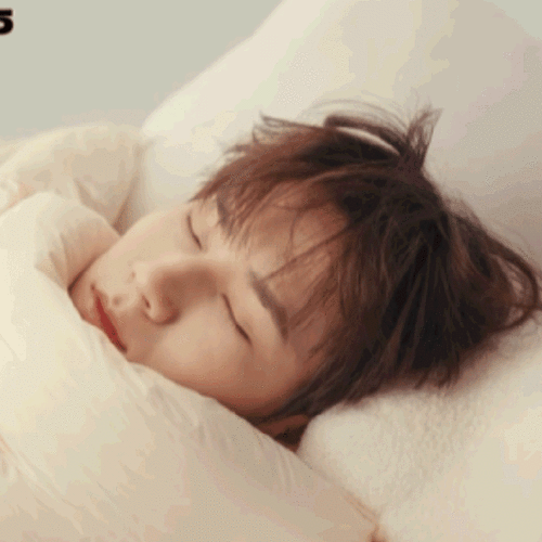 张真源 你最重要