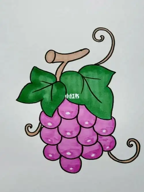 画葡萄简笔画画葡萄简笔画一步一步