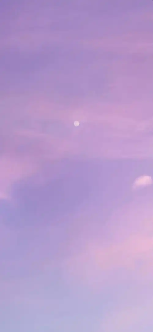 唯美ins紫色 - 堆糖,美图壁纸兴趣社区