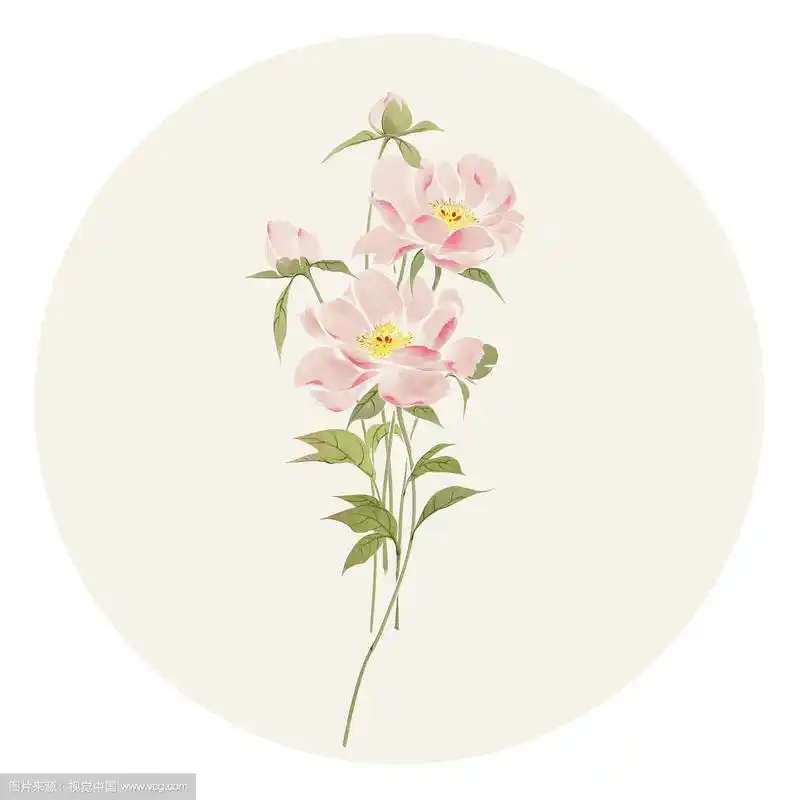 水彩花草插画 芍药花