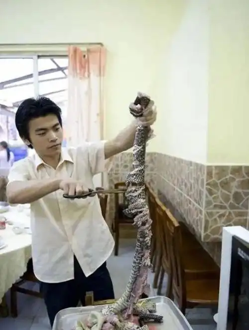 在广东吃蛇肉火锅把榕蛇取片生滚像毛肚一样涮着吃