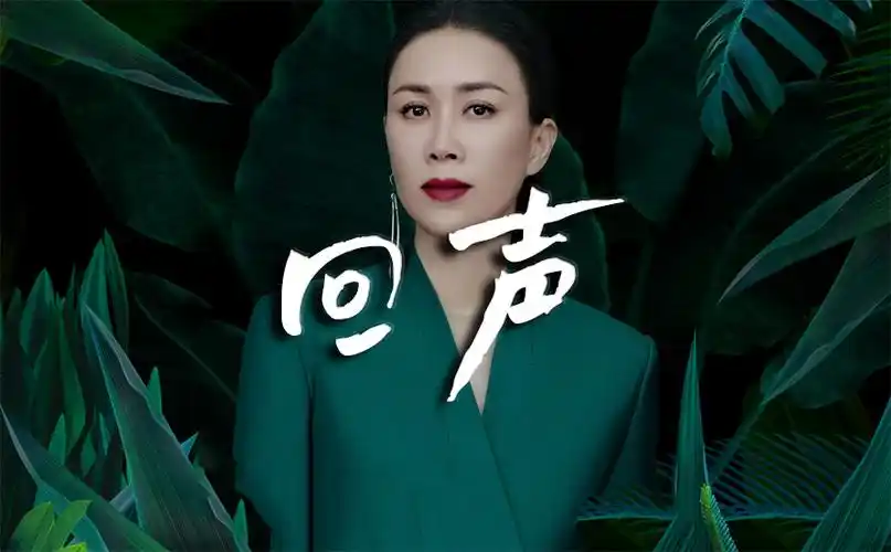 回声吉他谱_那英_g调弹唱伴奏吉他弹唱谱-吉他派