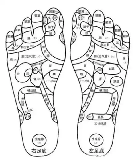 脚底长痣代表什么(脚底长痣是什么意思)