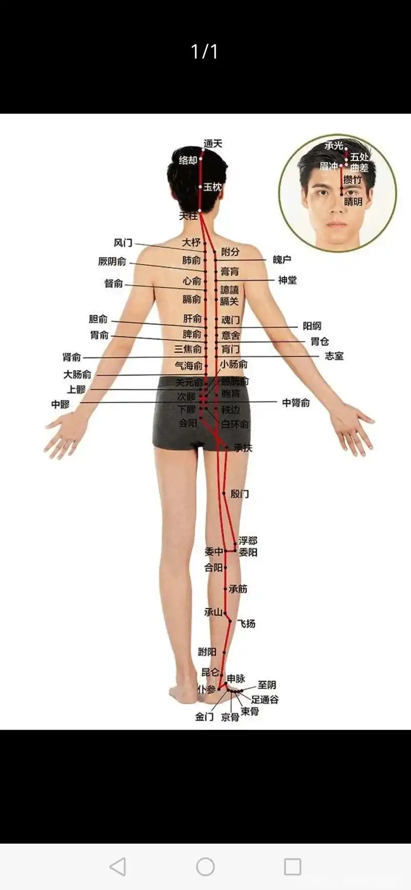 续谈十二经络足太阳膀胱经的那些事