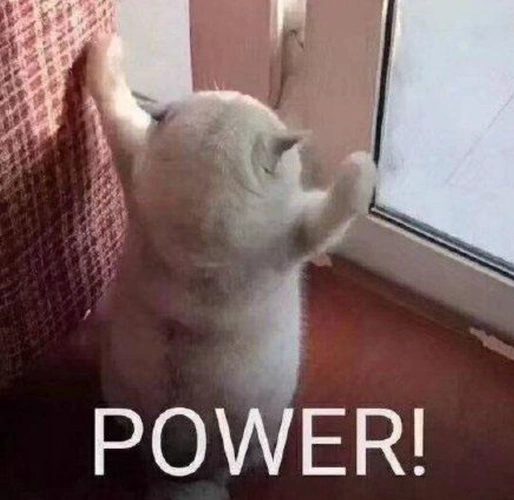 我的猫居然是图灵机