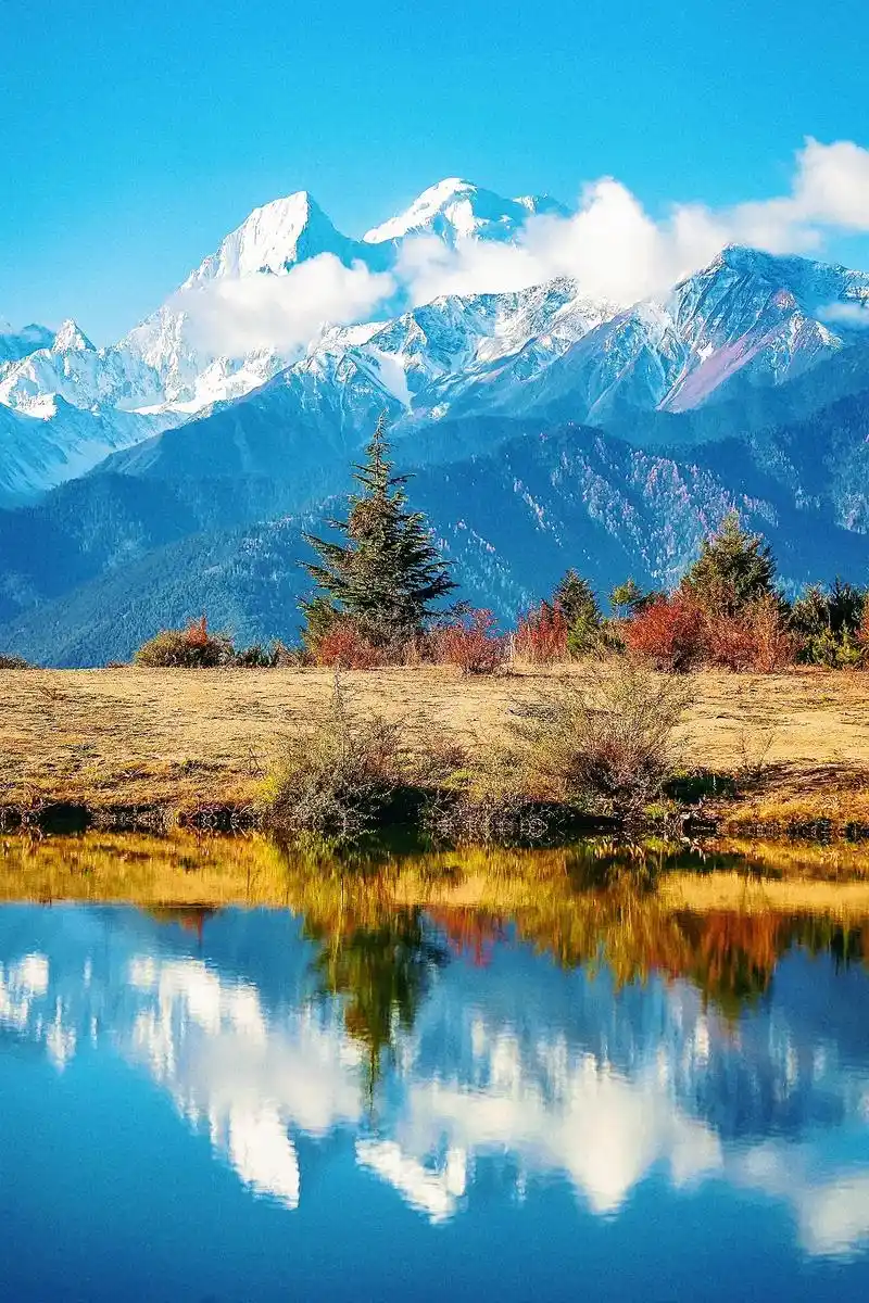 壁纸 风景 摄影 桌面 1280_1920 竖版 竖屏 手机