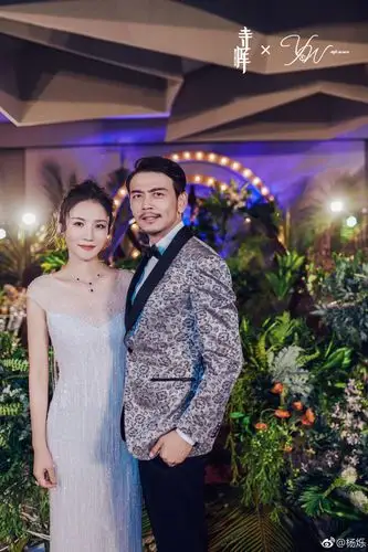 演员杨烁否认不同意降低片酬就罢演坚决拥护广电规定