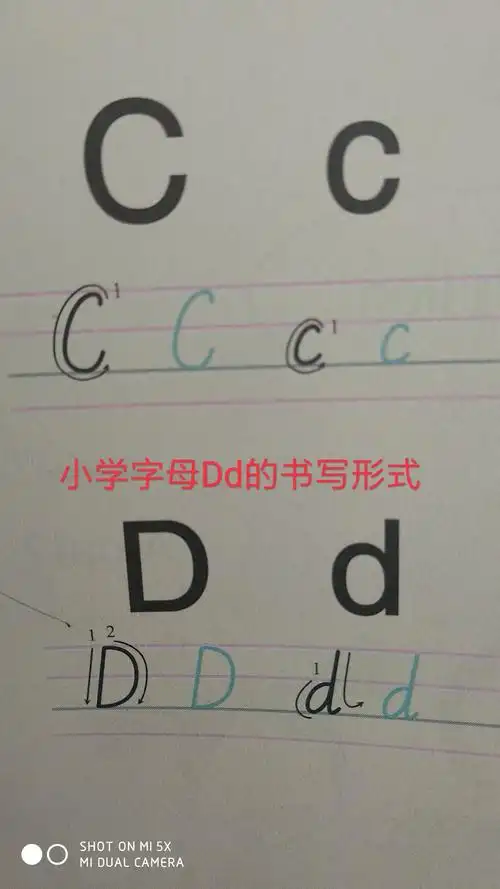 dd 教学重点:字母cc,dd的笔顺,格式以及区分小学字母dd,与初中字母dd