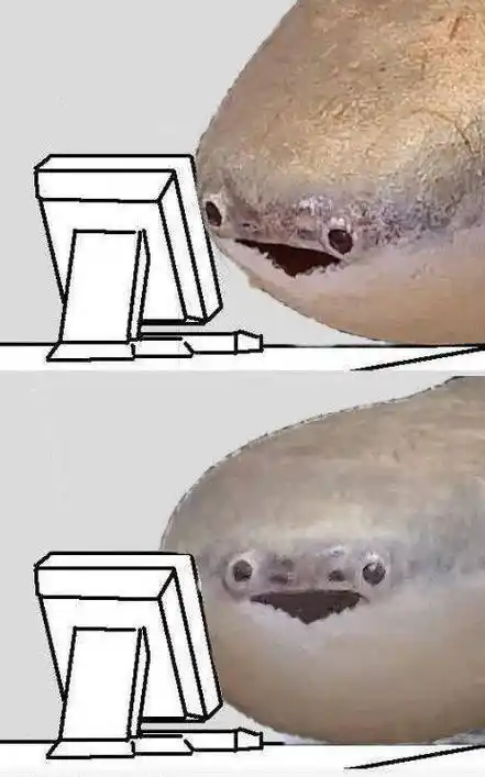 这条比小呆呆还傻的鱼,凭啥成为了新晋表情包顶流?_萨卡班_生物_样子