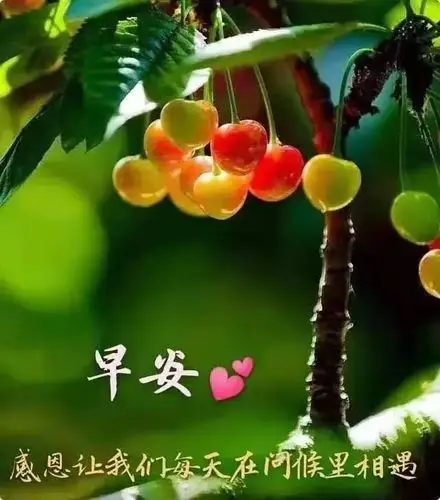 早上好表情图(14) - 美篇