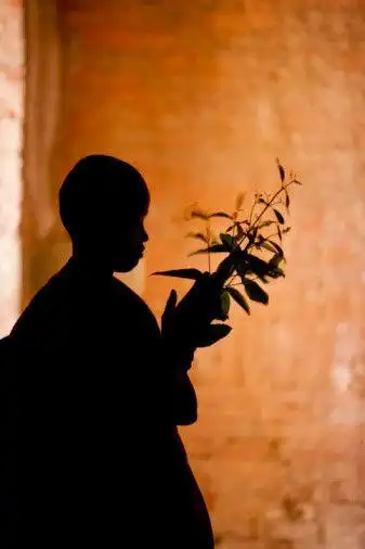 佛家禅语享受的若不是自己应得的福分所得的收获又