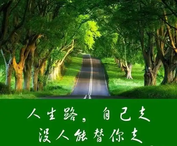 人生路自己走没人能替你走