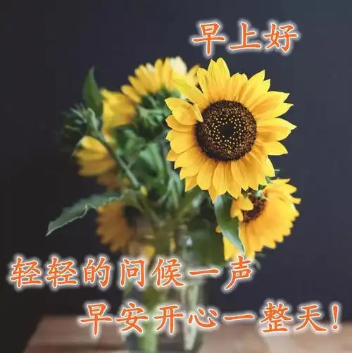 原创大家早上好问候语图片表情专辑早晨最经典的早安祝福语带图片