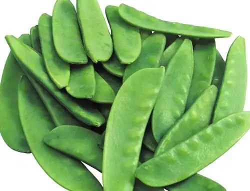 冬豆的功效与作用扁豆是一种豆类植物