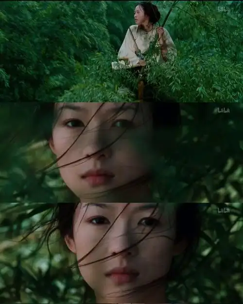 奥斯卡获奖华语片卧虎藏龙独爱玉娇龙剑未佩妥出门已是江湖