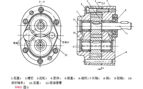 外啮合齿轮泵结构如图5所示.拆开齿轮泵可检查泵的下列方面
