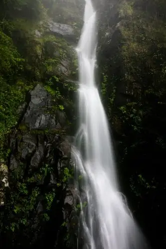 宜春旅行烟雨缠绵明月山云海飞瀑惹人醉