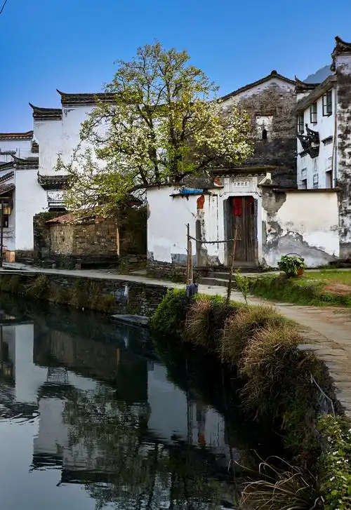 菊径村,三面环水,民风淳朴