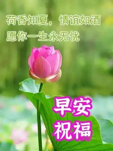 微信早安问候语幽默短信句子祝福朋友2021早上好的表情图片动态闪图