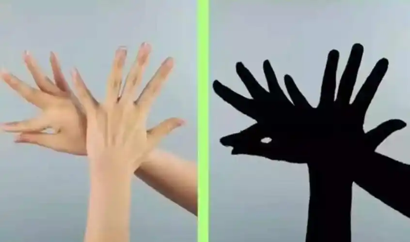 趣味影子秀 写美篇      家长可以做出不同的手影,来让孩子猜猜看