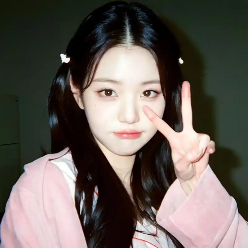 张元英头像合集 自修|礼貌拿图喔 96