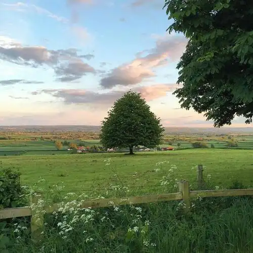 微信/ins背景·唯美绿色系风景