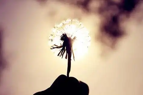 早安励志图片不带字