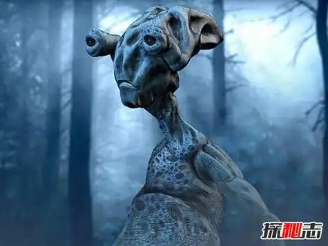 人类已知的50类外星人,各种外星人种类大揭秘(m78真的有)