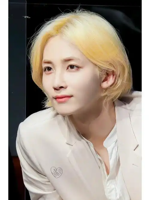 seventeen  #尹净汉  #长发  #头像分享  #金色头发  #seventeen