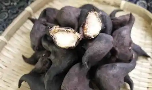 果实像牛头的菱角如何种植,像牛角一样黑色的吃的菱角怎么吃