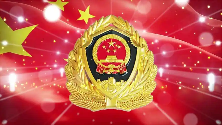 国徽背景_1920x1080_高清视频素材下载(编号:1424890)_舞台背景_vj师