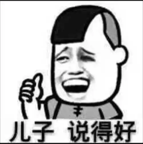 儿子说得好表情包 - 日常表情包