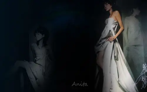 乐坛大姐大永远的梅艳芳桌面壁纸