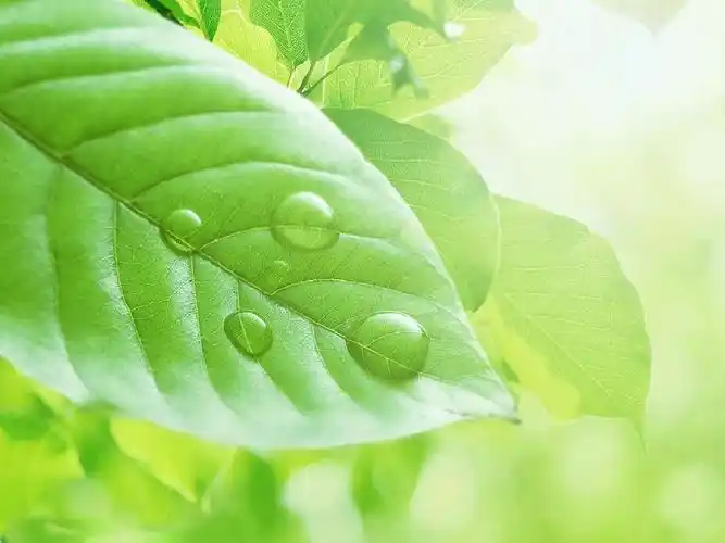 下一页 (共7页,当前第1页) 你可能喜欢 绿色商务ppt模板 绿色ppt背景