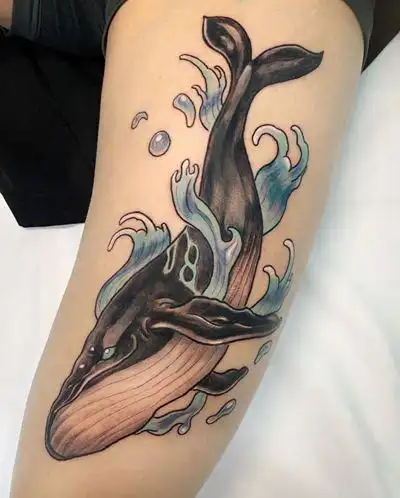 30张好看漂亮的鲸鱼纹身图片