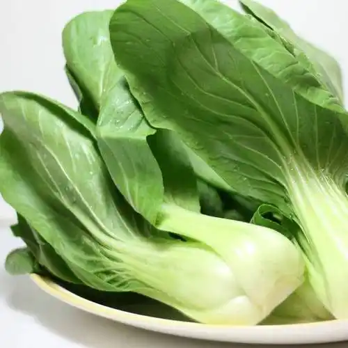 宏鸿蔬菜配送小白菜