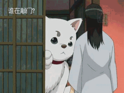 猫的报恩图片_猫的报恩动态图_猫的报恩表情包gif动图下载_soogif