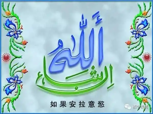 高洁|致今日的伊斯俩目