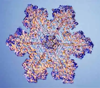 趣图:显微镜下的神奇雪花(6)