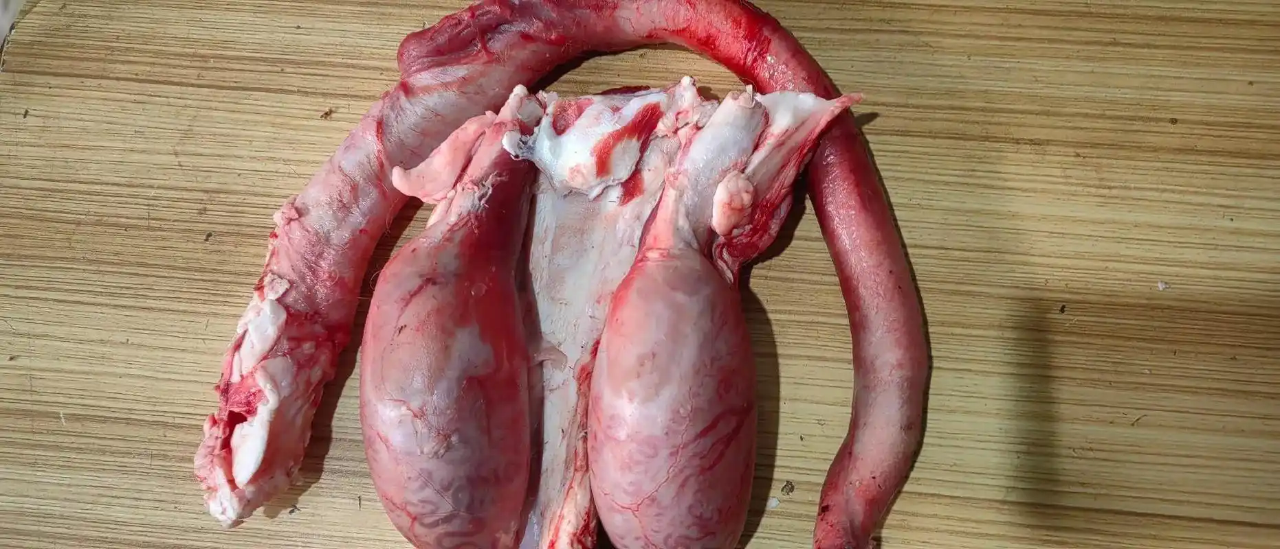 精品牛鞭,牛尾!强身健体的佳品!#支持全国各地发货 - 抖音