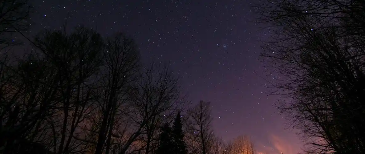 sky, trees, night, stars wallpaper, background 2560x1080 21:9