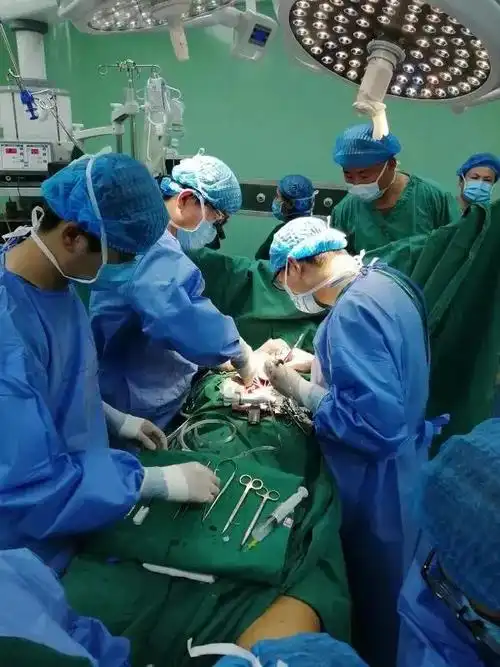 p>心脏搭桥手术又称为冠状动脉旁路移植术,指当一条或多条冠状动脉