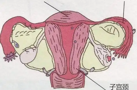 15岁女孩患宫颈癌医生感叹都是自己作的很多女孩不在意