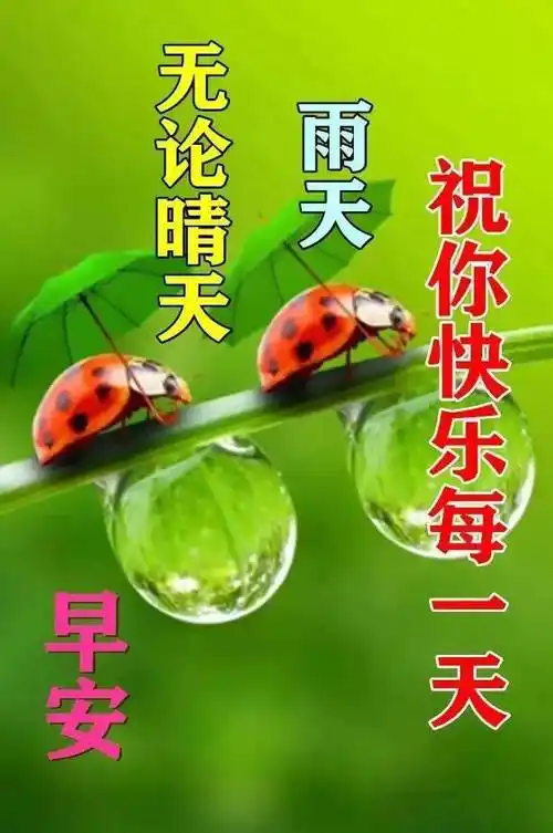 夏天清晨早上好问候语录短信句子祝福朋友早上好动态图片闪图带字