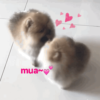 mua 亲亲 gif_mua_gif_亲亲表情