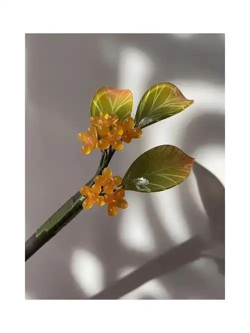 简简单单小桂花