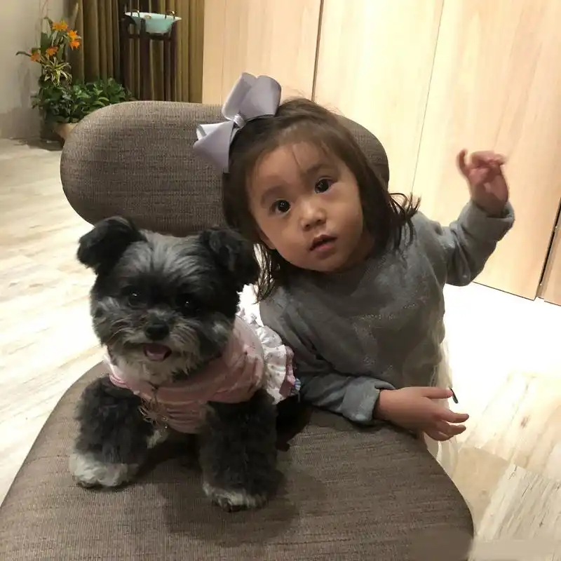 贾静雯女儿咘咘人缘好朋友多,头戴蝴蝶结身穿白纱裙美极了