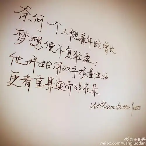 王珞丹用手写传递情感字体入库笔尖上的中国