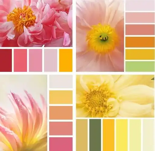 常使人联想起红色的火焰,产生温暖的感觉,所以被称为「暖色系」